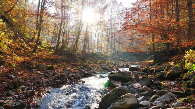 The mountain river in autumn forest and the sun shining through the foliage.