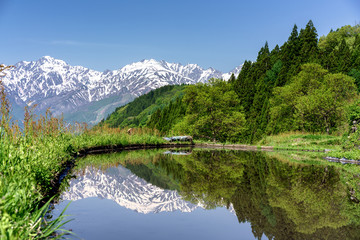 北アルプスと水田　青鬼集落 © ginR