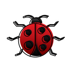 Fototapeta na wymiar virus bug alert error insect animal vector illustration