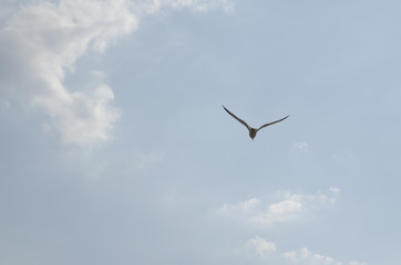 Lago de Janitzio, Michoacán