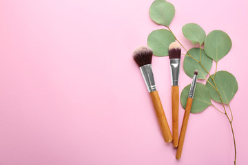 Different brushes of professional makeup artist and twig on color background