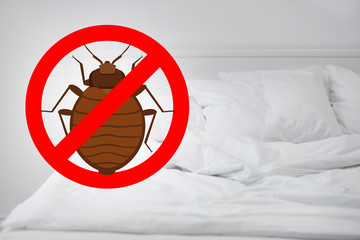 Stop bug sign and clean bed in room