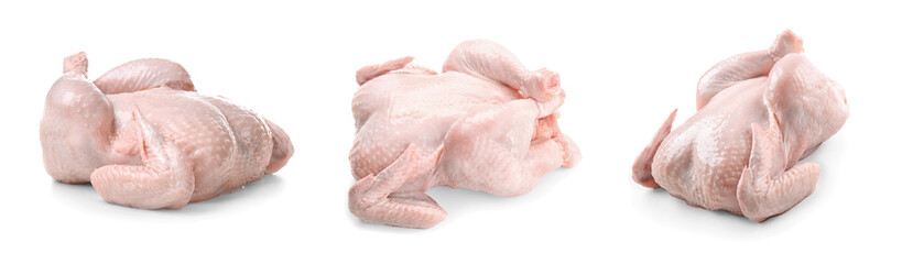 Set of whole raw chickens on white background
