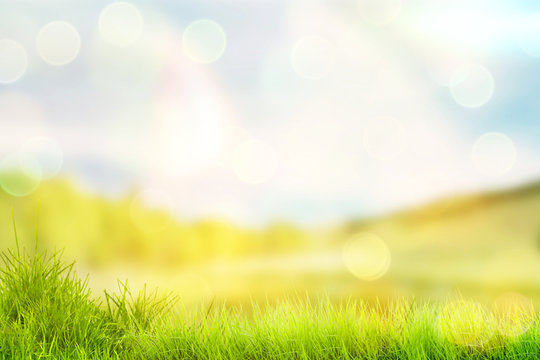 Bright spring or summer background