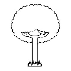 green tree leafy branches natural on grass vector illustration outline