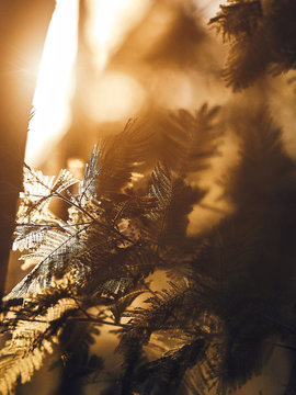 Sun flare