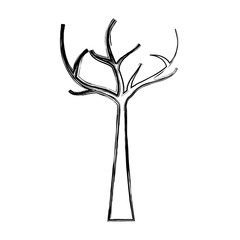 tree with dead branches dry ecology vector illustration
