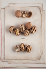 Beautifully presented walnuts on old book pages can be used as background