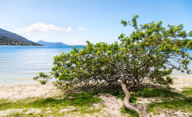 Lagoa da Conceição - Florianópolis - Brasil.