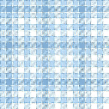 White and blue plaid seamless pattern. vector background