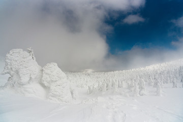 snow monster at zao mountain