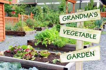 Grandma's vegetable garden