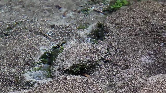 山吹水源