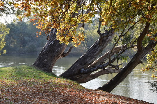 Norial park albury new south wales
