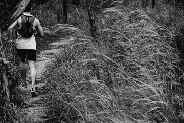 Athletic runner running on tropical forest trail, dramatic tone