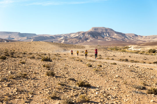 Four backpackers hiking trail, Negev desert,  Israel.