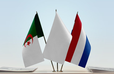 Flags of Algeria and Netherlands with a white flag in the middle