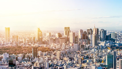 Asia Business concept for real estate and corporate construction - panoramic modern city skyline bird eye aerial view of Shinjuku under blue sky in Roppongi Hill, Tokyo, Japan