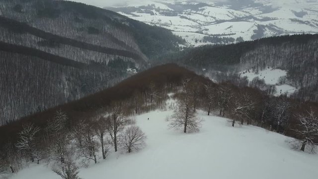 Aerial view of a Snowboarder descending by a mountain ridge among trees. Birds Eye View Above White Powder Snow, Winter Extreme Sports, Freeride.