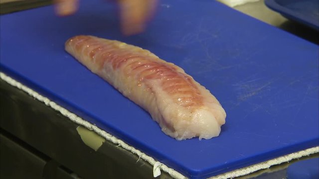 A close up shot of a monkfish's meat that is cut in half. The meat is being prepared for cooking.