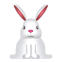 Front view of a cute rabbit