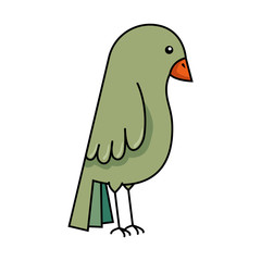 Fototapeta premium cute bird isolated icon vector illustration design