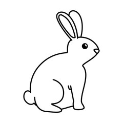 cute rabbit pet character vector illustration design
