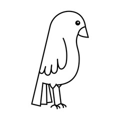 cute bird isolated icon vector illustration design
