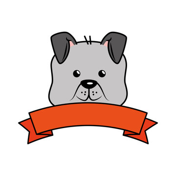 cute dog mascot head with ribbon vector illustration design
