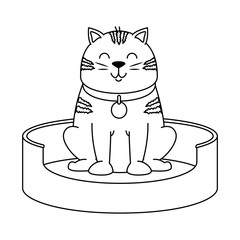 cute cat in the mattress mascot vector illustration design