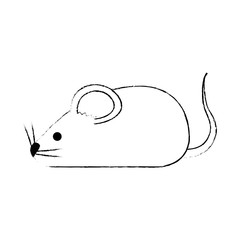cute mouse isolated icon vector illustration design