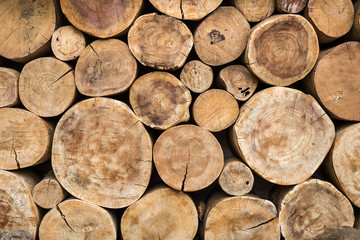real wood logs pile background