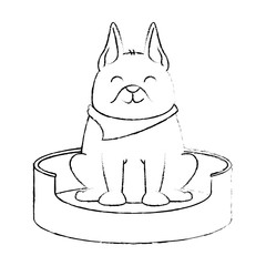cute dog in the mattress mascot vector illustration design