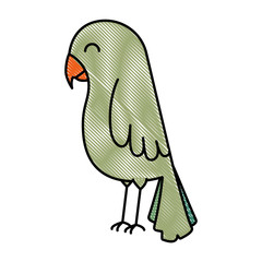 cute bird isolated icon vector illustration design