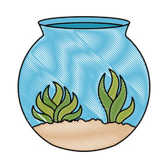 aquarium bowl with algae vector illustration design