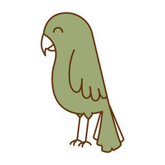 cute bird isolated icon vector illustration design