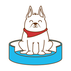 cute dog in the mattress mascot vector illustration design