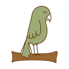 cute bird isolated icon vector illustration design