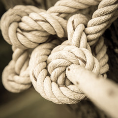 ship ropes with knot
