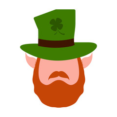 Abstract leprechaun avatar