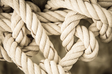 ship ropes with knot