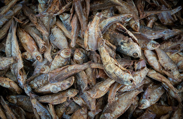 Dry fish background.