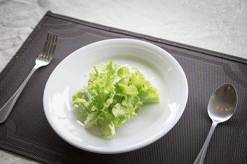 lettuce leave on a white plate. concept for healthy care