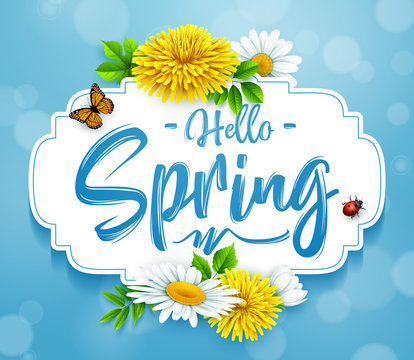 Hello Spring background with flower, ladybug, and butterfly on blue sky background