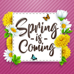 Spring is coming. Spring background with beautiful colorful flower on striped purple background