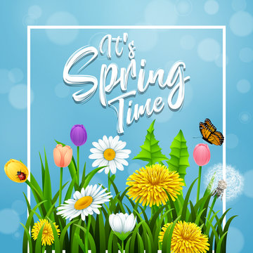 It's Spring Time. Beautiful meadow flowers on blue background