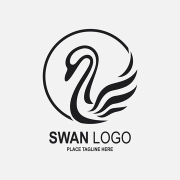 Swan icon design template. Black swan icon