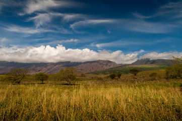 Fototapeta premium Maui