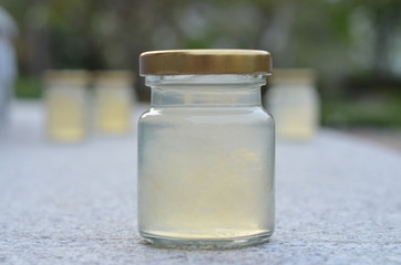 bottle nest bottle
