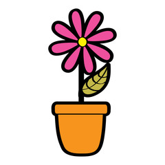 potted daisy flower petal leaves decoration vector illustration
